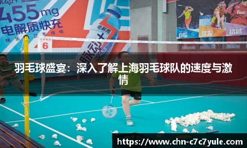 羽毛球盛宴:深入了解上海羽毛球队的速度与激情