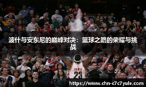 波什与安东尼的巅峰对决:篮球之路的荣耀与挑战