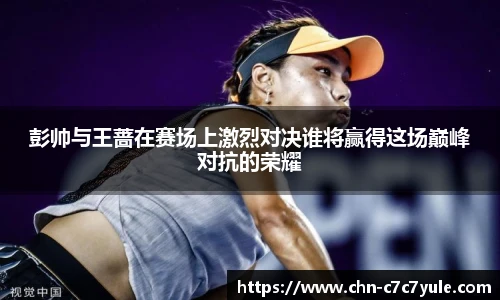 彭帅与王蔷在赛场上激烈对决谁将赢得这场巅峰对抗的荣耀