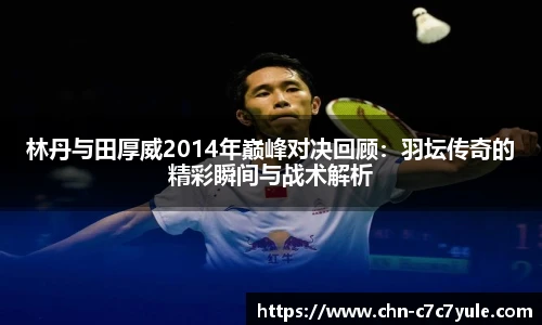 林丹与田厚威2014年巅峰对决回顾：羽坛传奇的精彩瞬间与战术解析